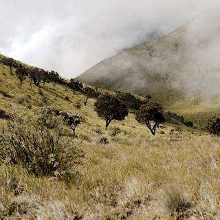 Mount Merbabu wallpaper