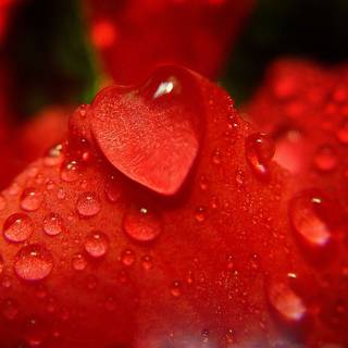 Water heart wallpaper