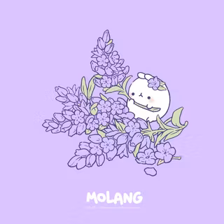 Molang PC wallpaper