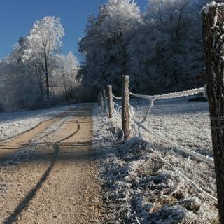 Rural winter wallpaper