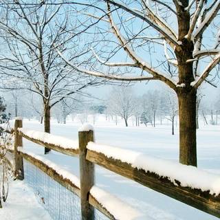 Rural winter wallpaper