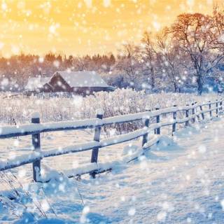 Rural winter wallpaper