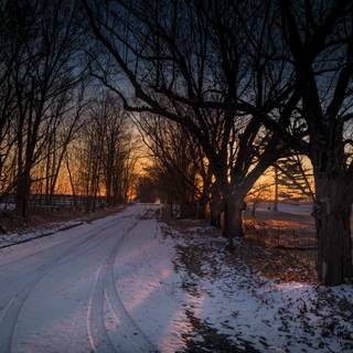 Rural winter wallpaper