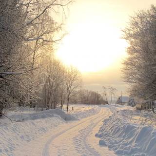 Rural winter wallpaper