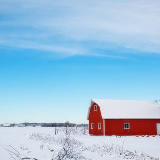 Rural winter wallpaper