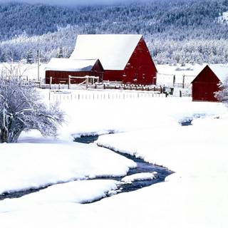 Rural winter wallpaper