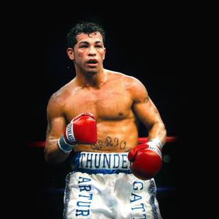 Arturo Gatti wallpaper