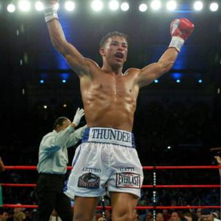 Arturo Gatti wallpaper