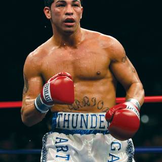 Arturo Gatti wallpaper
