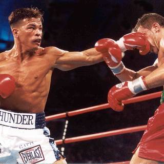 Arturo Gatti wallpaper