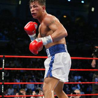 Arturo Gatti wallpaper