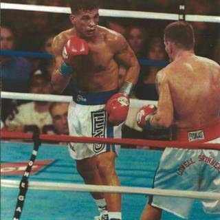 Arturo Gatti wallpaper