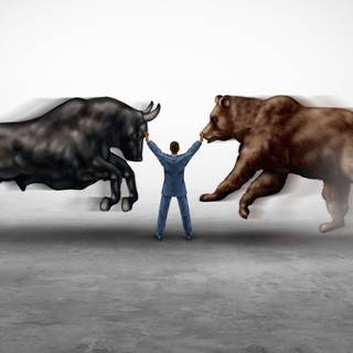 Bear vs bull wallpaper