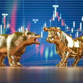 Bear vs bull wallpaper