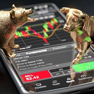 Bear vs bull wallpaper