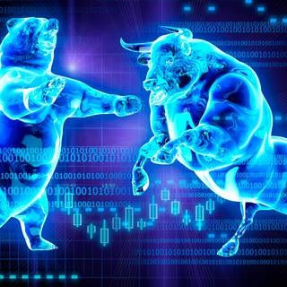 Bear vs bull wallpaper