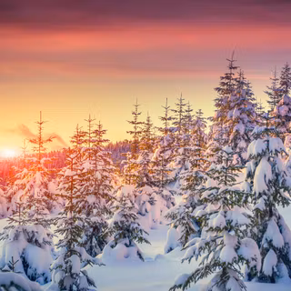 8k winter PC wallpaper