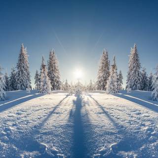 8k winter PC wallpaper