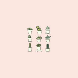 Girly minimalist wallpaper