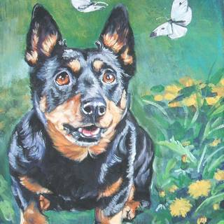 Lancashire Heeler wallpaper