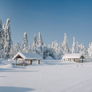 Winter tranquility wallpaper