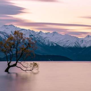 Winter tranquility wallpaper