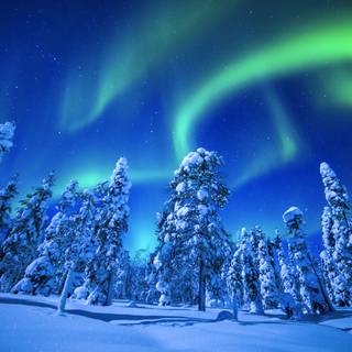 Winter tranquility wallpaper