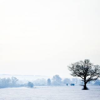Winter tranquility wallpaper
