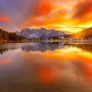 Winter tranquility wallpaper