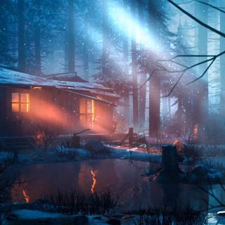 Winter tranquility wallpaper