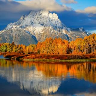 Winter tranquility wallpaper