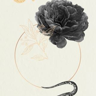 Snake drawing wallpaper