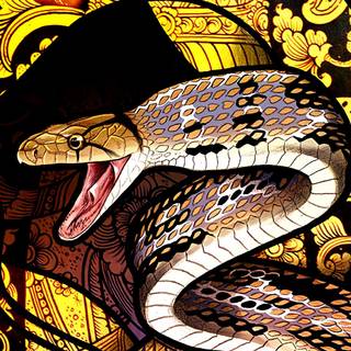 Snake drawing wallpaper