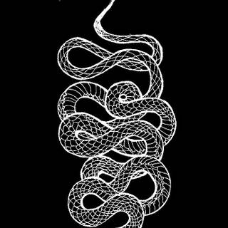 Snake drawing wallpaper