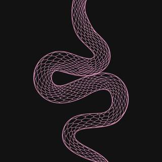 Snake drawing wallpaper