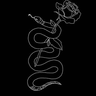 Snake drawing wallpaper