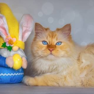 Cute cat and bunny Easter wallpaper