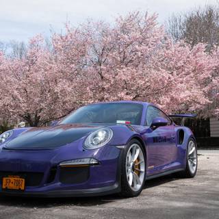 Porsche Gt3 Rs 2023 wallpaper