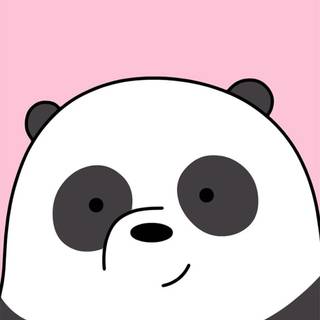 Panda iPhone wallpaper