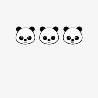 Panda iPhone wallpaper