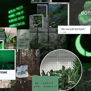 Dark green collage wallpaper
