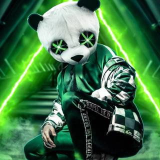 Panda iPhone wallpaper