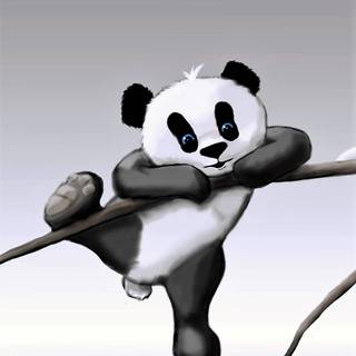 Panda iPhone wallpaper