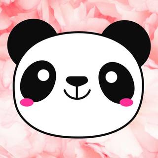 Panda iPhone wallpaper