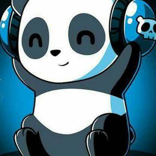 Panda iPhone wallpaper