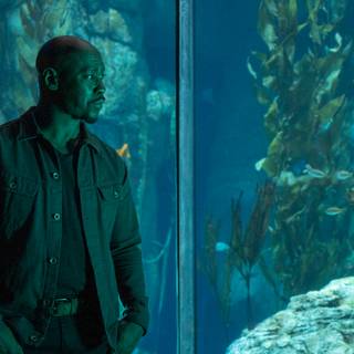 D.B. Woodside wallpaper