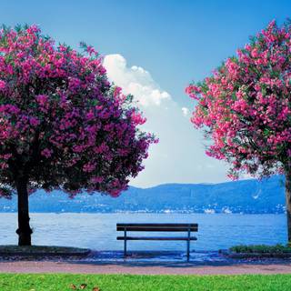 Nature spring 8k wallpaper