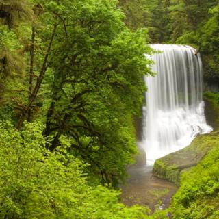 Nature spring 8k wallpaper