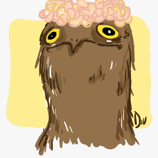 Potoo wallpaper