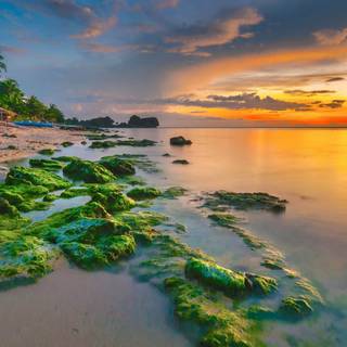 Asia Ultra HD wallpaper